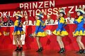 Prinzen2011   086